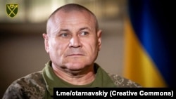 Командувач Олександр Тарнавський уточнив, що «захисники на південно-східному фронті перейшли до оборони на одних ділянках, але намагаються наступати на інших»
