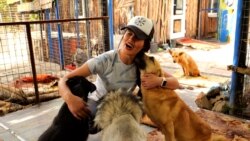 Dogs Of War: How Saving Animals In Ukraine 'Brought Me Back To Life' 