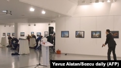 Карлова вбили у грудні 2016 року