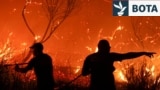 Ballkani në flakë: Zjarret marrin jetë dhe shkatërrojnë shtëpi e objekte