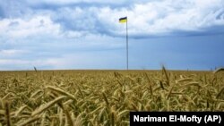 Проблема вивезення українського зерна буде усунута «найближчими тижнями чи місяцями», переконаний Тарас Качка