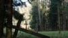 Image result for "Ігар Барадач"