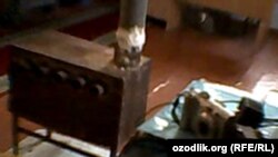 Ўзбекистон туманларида газ тақчиллиги боис кўпчилик оддий печкаларга газни қўлбола мослама ёрдамида улаб олади.