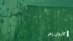  فرید: با معتاد شدن من خانواده ام محتاج دیگران شد. 