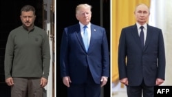 Владимир Зеленский, Дональд Трамп и Владимир Путин. Это комбинированная фотография - но встретятся ли три политика лицом к лицу?