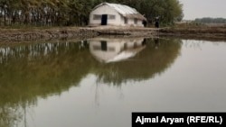 آرشیف