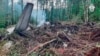The An-24 passenger plane crashed in Russia's Far East on July 24.