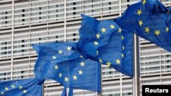 Найвищі рівні підтримки зафіксовані в Швеції (97%), Фінляндії (95%), Нідерландах (93%), Португалії (92%) і Данії (92%)