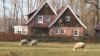 Найдорожча земля в Європі: як працює вільний ринок землі в Нідерландах