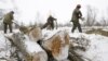 Рабочие валят деревья в Беларуси. Иллюстративное фото.
