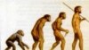 Illustrative image for Charles Darwin's evolution theory