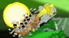 Урдун-- "Нохчийн къоман тахане", автор - нохчийн суртдиллархо Везаш.