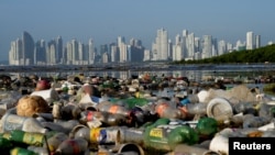 Poluare cu plastic a apelor golfului Panama, la Panama City. 