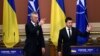 Зеленський подякував НАТО за «визнання вагомого внеску України»