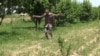 "Коронавирус кам набуд, ки балои дигар ба сарамон омад" ВИДЕО