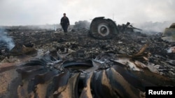 На місці падіння «Боїнга 777» рейсу MH-17 поблизу селища Грабове Донецької області, 17 липня 2014